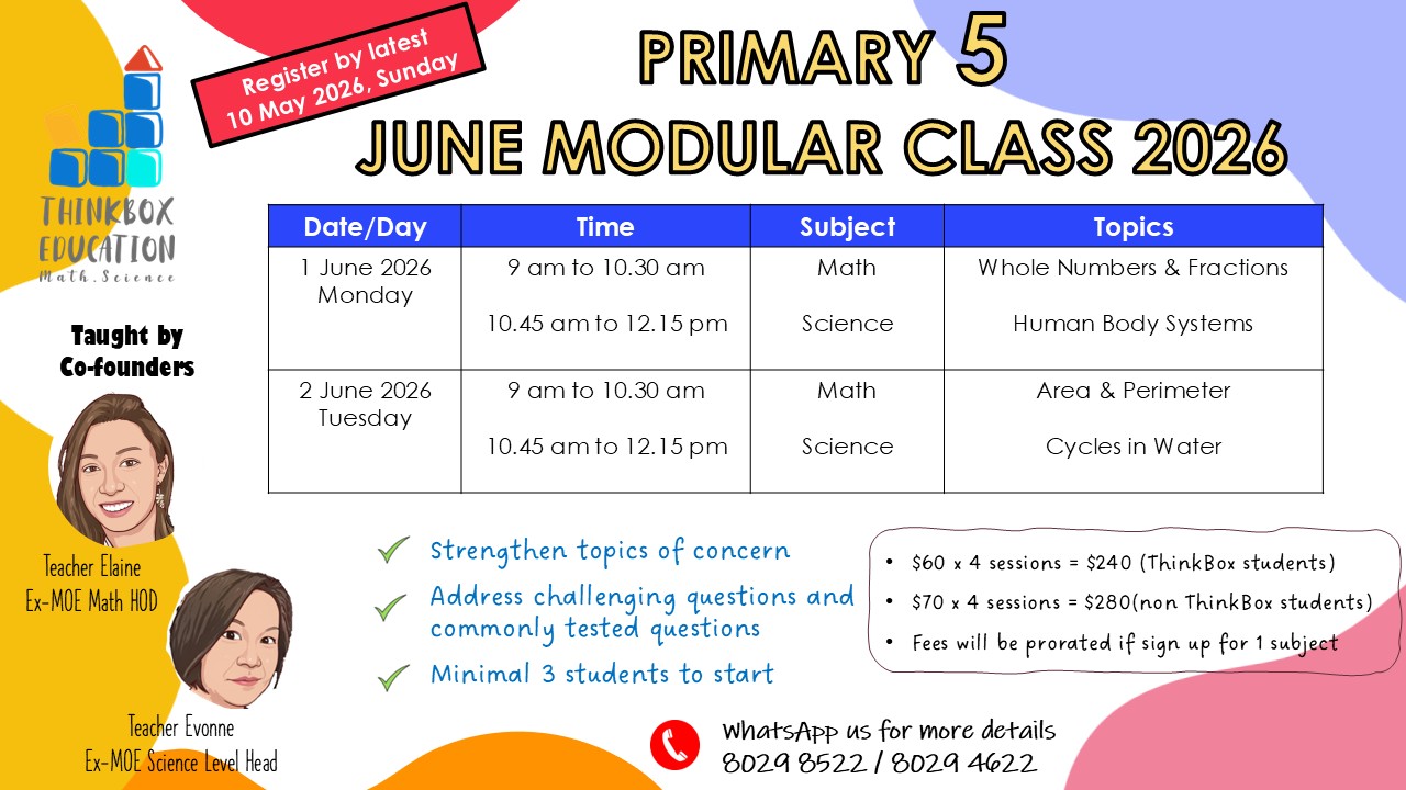 primary 5 june 2026