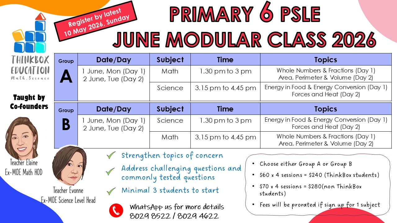 primary 6 june 2026